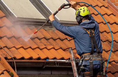 Démoussage et hydrofuge de toiture à Genvry